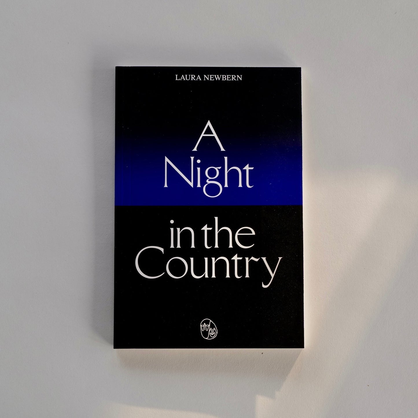 A Night in the Country by Laura Newbern